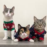 Parker, Lily & Jasmine
