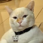 mengky.milo