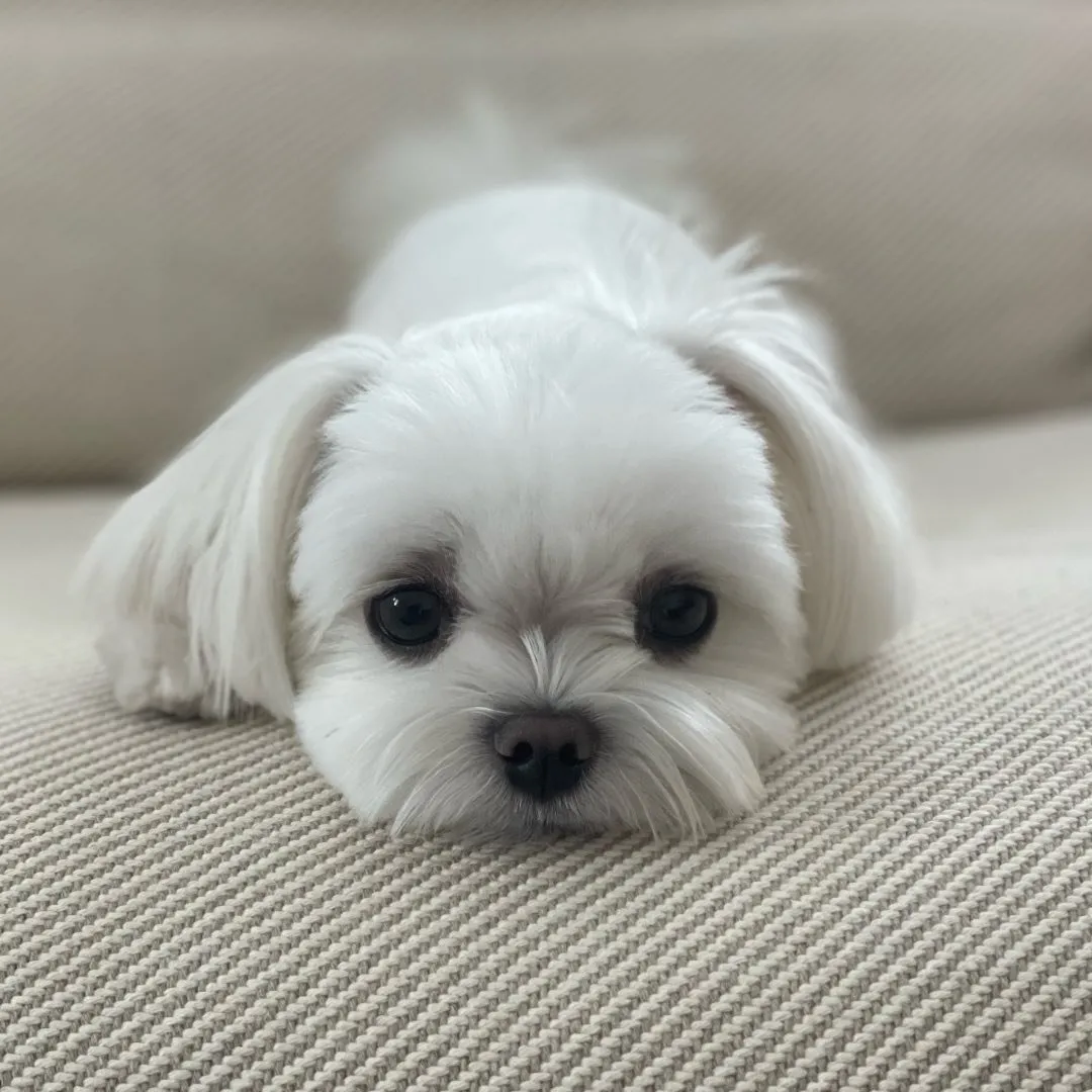 Son Yejin