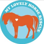 My Lovely Horse Animal Rescue