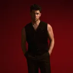 Nick Jonas