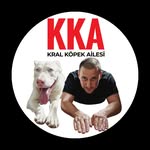 Kral Köpek Ailesi