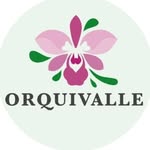 Orquivalle