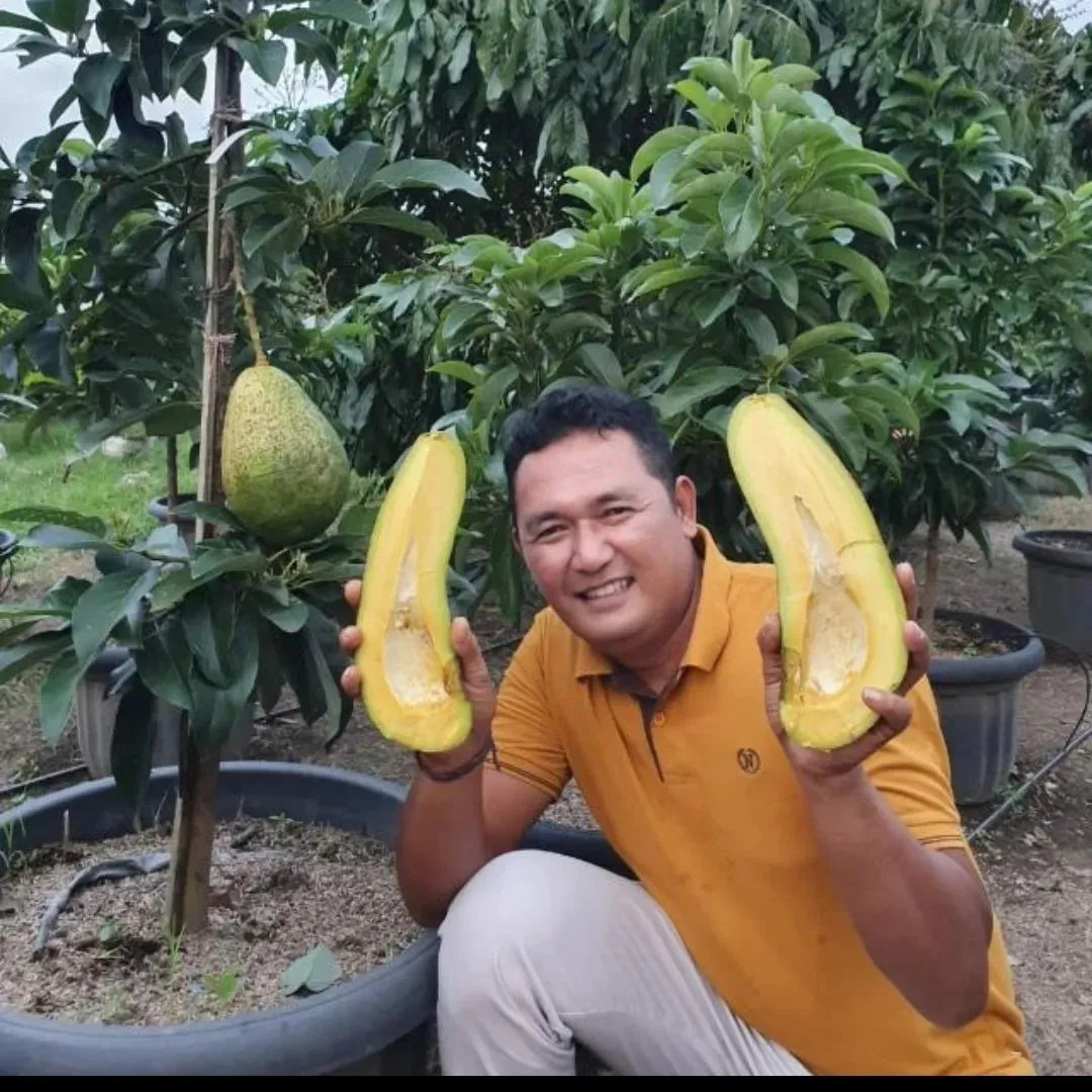 Agus Joko Susilo