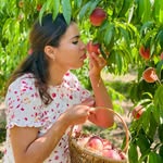 Loubna Jaibi
