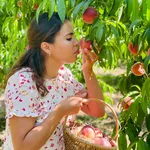 Loubna Jaibi
