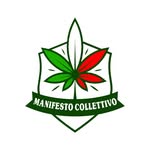 Manifesto Collettivo