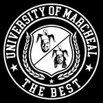 University Of Marcheal