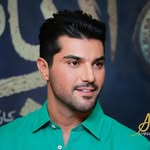 Sina Mehraad