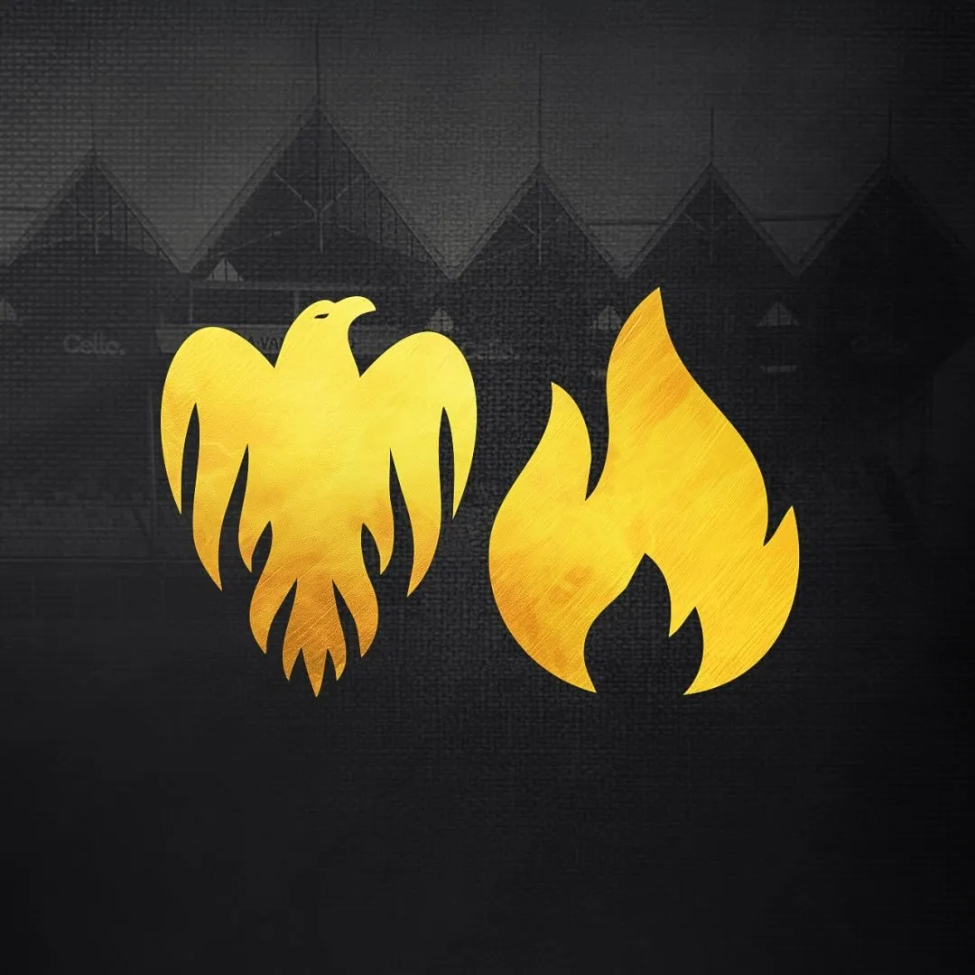 Wellington Firebirds and Blaze