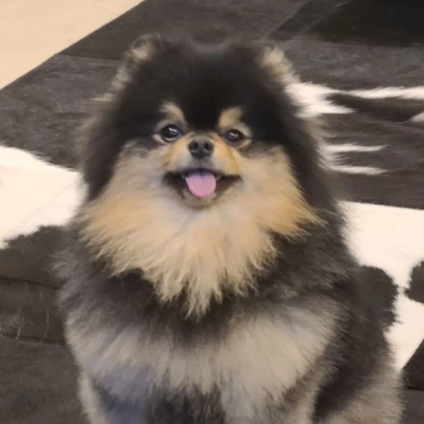 V