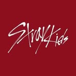 Stray Kids 스트레이 키즈 - Fanpage