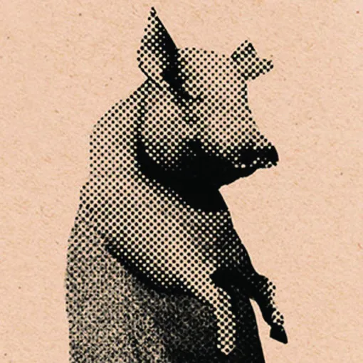 Il Coinquilino di M*rda