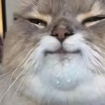 PoopyWeenerFart96