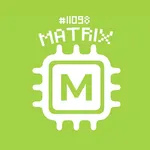 Team MATRIX