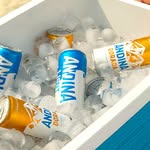 Cerveza Andina