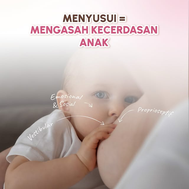 ASI BOOSTER SUPERFOOD RASA JUARA: Beberapa waktu lalu kita sudah membahas bahwa ternyata menyusui bisa menstimulasi 5 sensori (penglihatan, pendengaran, p