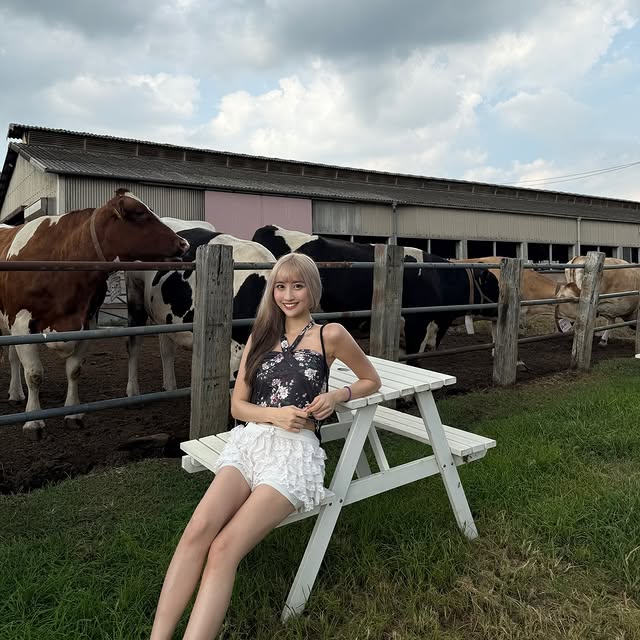 Moeka (모에카): 牛になりたい。
人間だもの
🌻