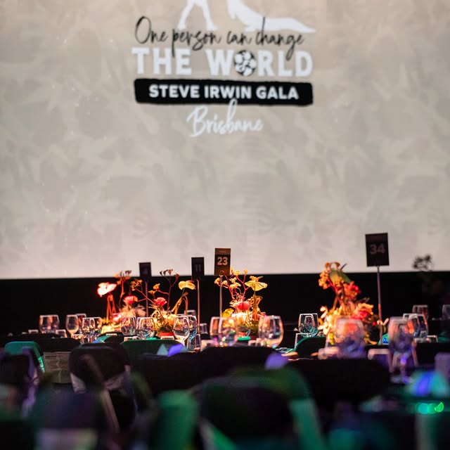 Wildlife Warriors: 🌟SOLD OUT!🌟
We’re thrilled to announce that the Steve Irwin Gala in Brisbane has officially sold out! A huge thanks t
