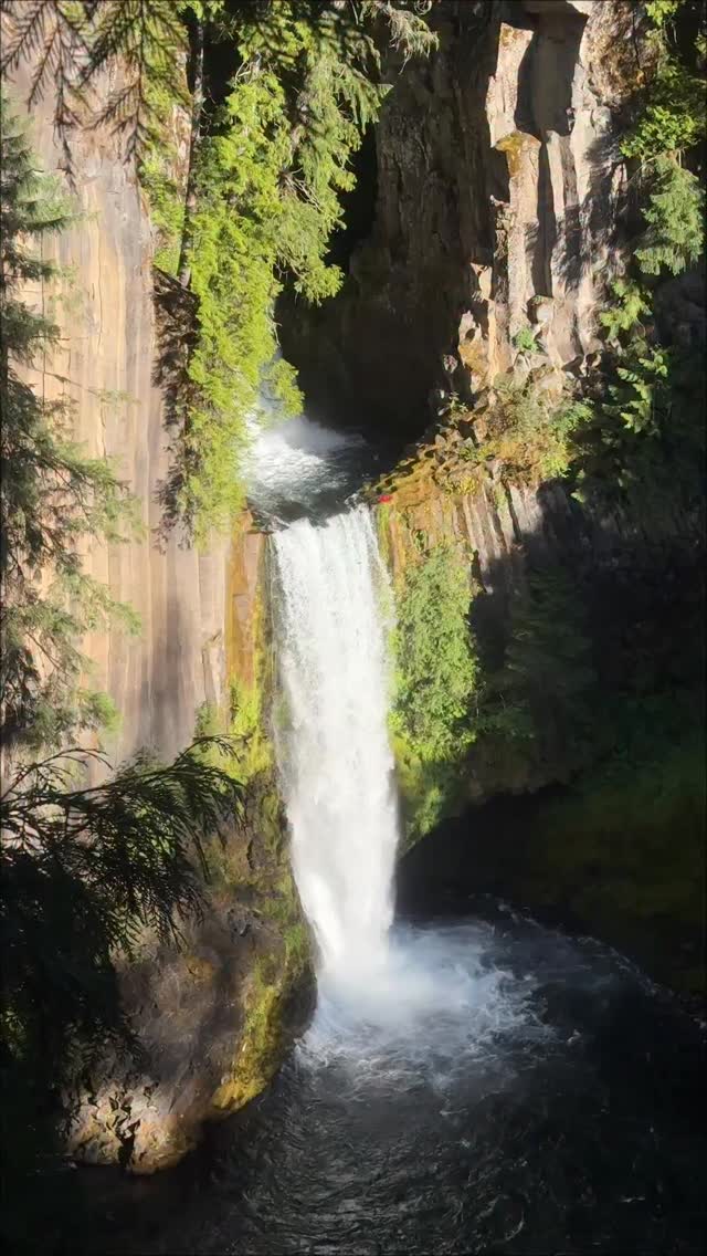 Lucas: A cold, unforgettable mission deep in Oregon’s wild🌲
Jumping Toketee falls with a dream international team 💦
🎥 @2pi