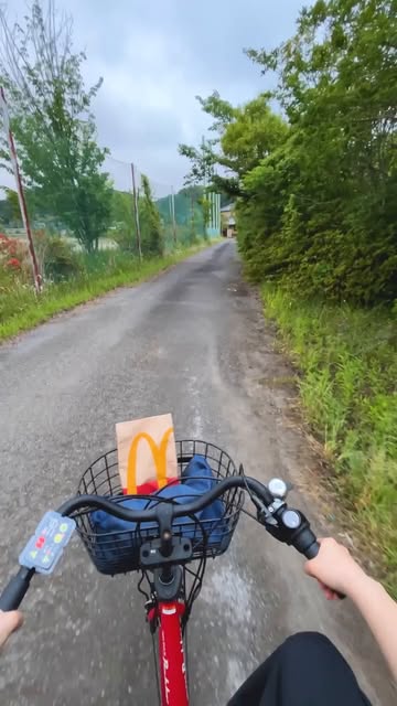 マクドナルド公式(McDonald’s): 野生の…?
#森田ひかる #櫻坂46