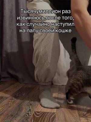 фолифрензи🍓: ладно, а если так