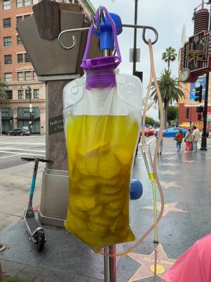Lauren Godwin: daily pickle infusion🫡🥒