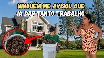 Fofis: I HAD TO FILL THE BUCKET WITH PINE CONES