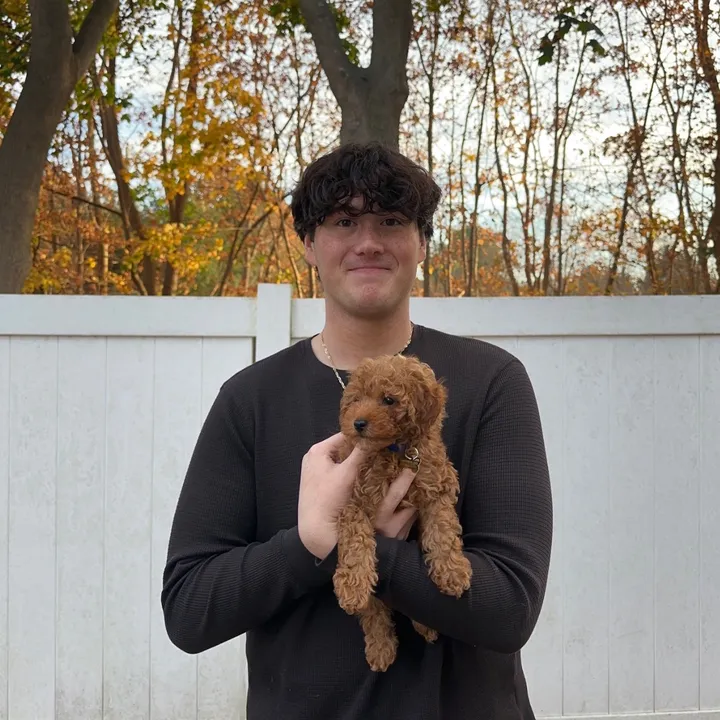 Kyle Ciauri