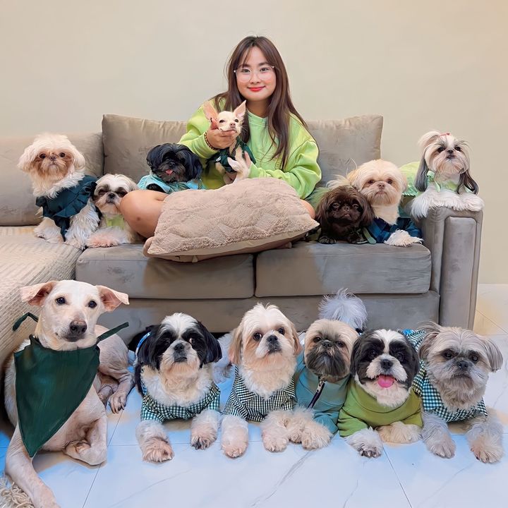 Shang Pooches