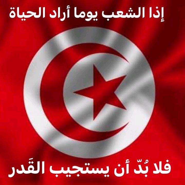 الاعلامي الميداني