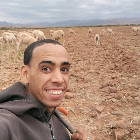 بدر المغربي راعي الغنم