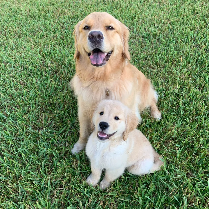 Xena & Finn