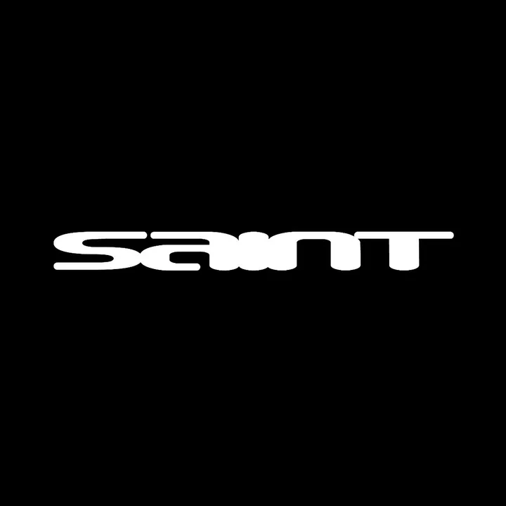 Saint Catalog