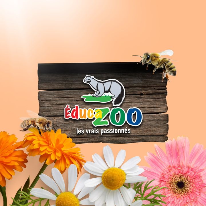 Éducazoo Inc.