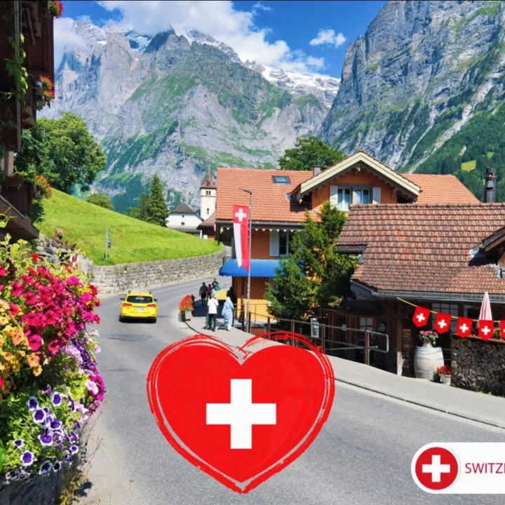 Swiss View