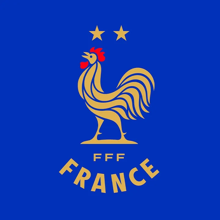 Fédération Française de Football