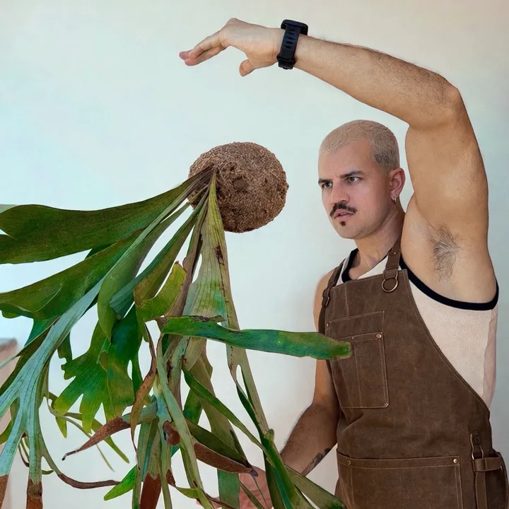 Nikolas Brandão