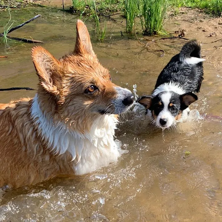 Kenna & Auri