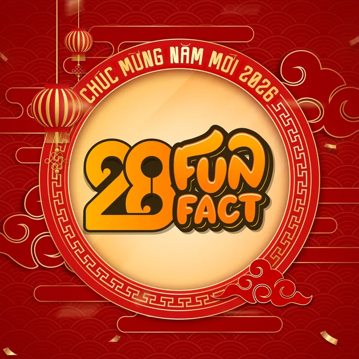THEANH28 FUNFACT