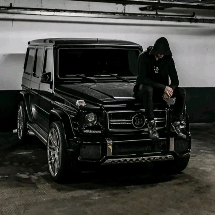 tigr2015_amg65s
