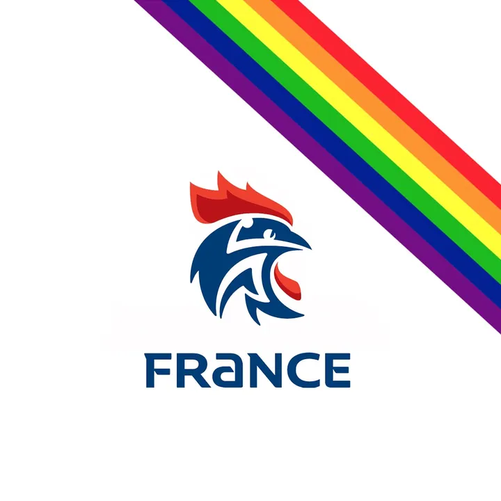 Équipe de France féminine de handball