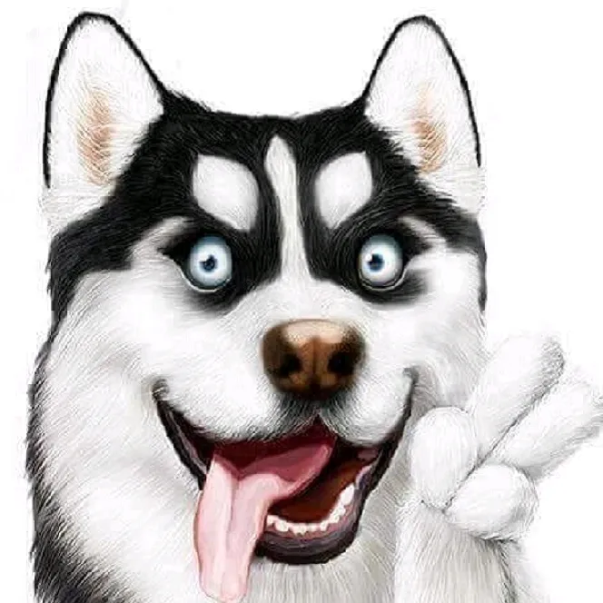 Fundog