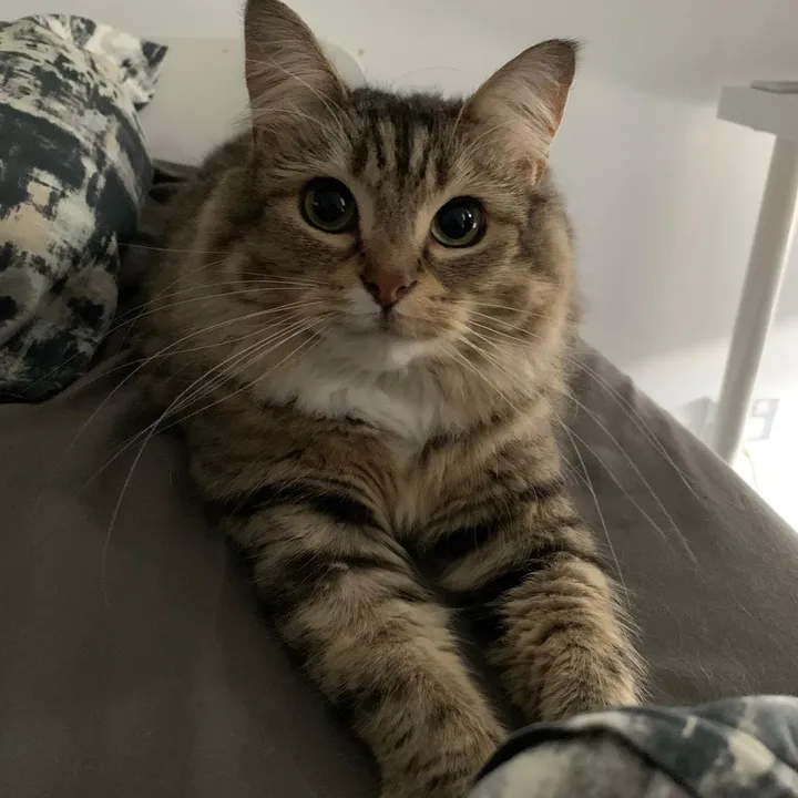 Luna