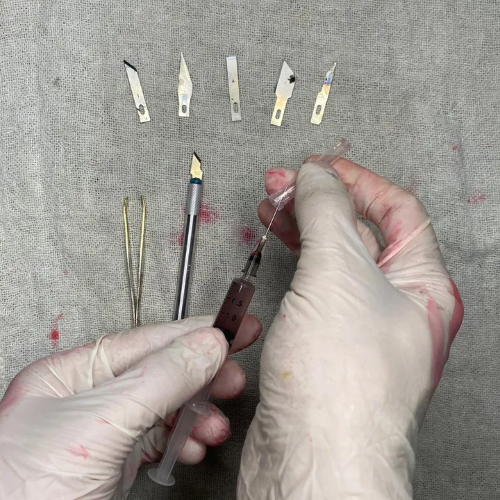 Cirurgia / Surgery