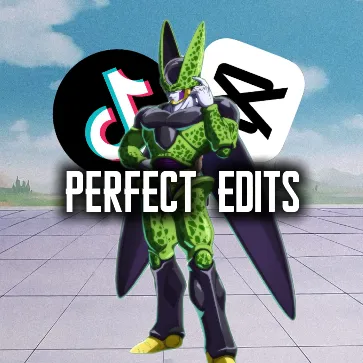 PERFECT EDITS