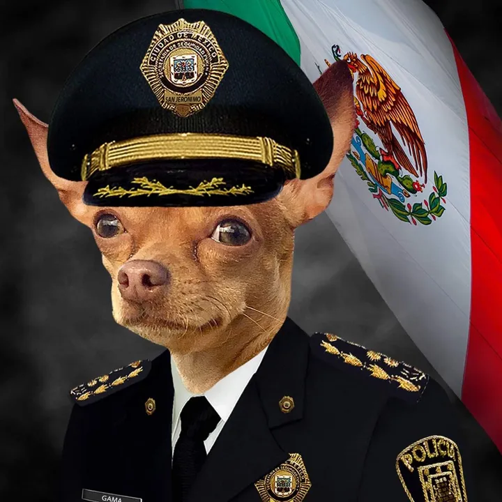 SomosMásLosBuenos