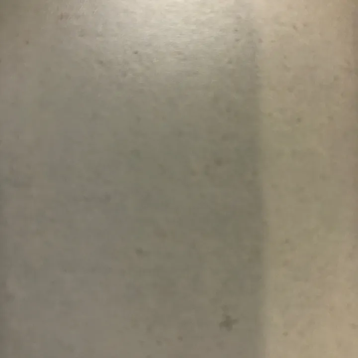 dog_funny001