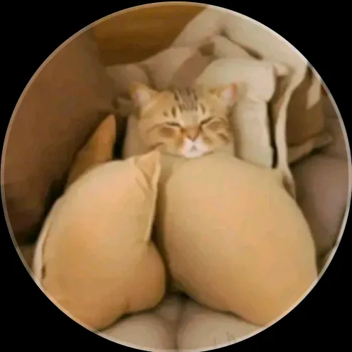 BalliBotMogis