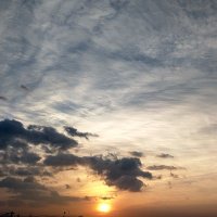 夜の騎士